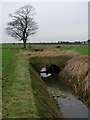 Ryhill Drain, Thorngumbald in HU12 9PY