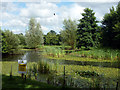 Pond, Bodiam Business Park in TN32 5FL