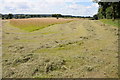 Haymaking near Carpenter's Hill Farm in B98 9BS