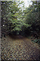 Entering Woods near Cromford in Cromford & Matlock Bath Ward