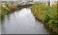 Rhondda Fawr upstream from Tyisaf Road bridge, Gelli in CF41 7NE