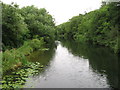 River Nene near Ferry Meadow in PE2 5UX