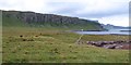 Pastureland near Staffin slipway in IV51 9JU