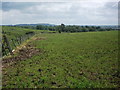 Looking towards Southam from near Ufton Hill Farm in CV47 2SU