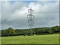 Pylon near Buddington Lane in GU29 0QW