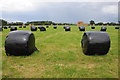 Silage and hay bales in HR8 1HH