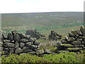 Old walls on Broomhead Moor in S6 6JN