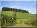 Field boundary and plantation (2012) in AB33 8LB