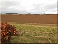 Ploughed field, Marden in TD11 3TG
