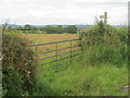 Field gate for access to footpath from Ankerdine Road in WR2 6RW
