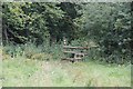 Stile into Queen's Wood in GL52 3NG