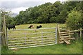 Stile and gate on the lower slopes of Cleeve Hill in GL52 3NG