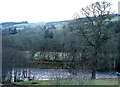 River Tay at Grandtully in PH15 2QX