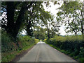 East of Pont-y-Ffatri through the wooded section in SY22 6HT