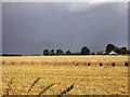 Storm clouds gather over partially-harvested wheat fields in IP30 9RF