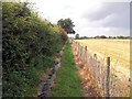 Footpath alongside a partially-harvested wheat field in IP30 9RF