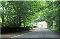 Through the trees into Lochwinnoch in PA12 4AL
