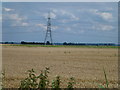Wheatfield and distant pylon on Edge Bank in PE14 8PP