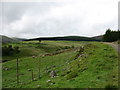 Below Glenclova Forest in DD8 4SD
