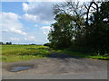 Tree lined track to Little Sandy Field in PE14 8SH
