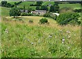 View of Bothams Farm from Brough Lane in S33 9HG