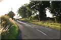 Evening light on the Tadcaster road in YO23 7AS
