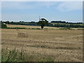 Farmland near Carlton Scroop in Carlton Scroop