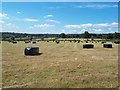 Fields of Bagged Hay near Denby Pottery in DE5 8ND