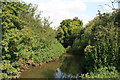 The River Wid in Goat Hall Ward