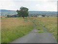 Track down to the now derelict Woodhouses Farm in DL14 0LL