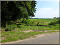 Footpath at the side of 40 acre plantation in PE31 6SU