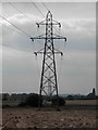 Dearne Valley pylons in S63 8JE