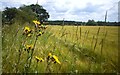 Farmland near Kingham in OX7 6UQ