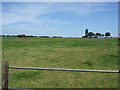 Farmland off Asfordby Road in Melton Egerton Ward