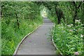 Raised Walkway in Whittlesey Lattersey Ward