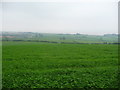 View to the Severn from a field near Boughspring in NP16 7JF