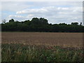 Farmland and woodland near Cotes in LE12 5TG