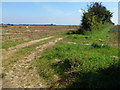 Farm track south of Burnham Road in PE31 8QR