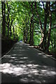 Road through Coed Parciau in Pen Tranch Community