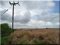 Power lines along a field boundary in LE15 9FF