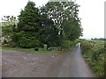 Trees and hedge in front of Berry Barton farmhouse in EX6 7DP