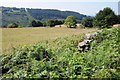 Farmland near Cefn-y-crib in NP11 5BQ