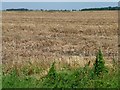 Stubble field near Little Lodge Farm in PE6 0JQ
