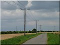 Telegraph poles along Cloot Drove in PE6 0HG