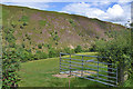 Field and gate east of Tylwch in SY18 6JN