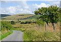 Minor road east of Nantgwyn in LD6 5LW