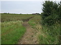 Bridleway off Tadlow Road in Tadlow