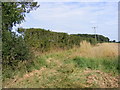 Footpath to Bramfield Road in Wenhaston with Mells Hamlet