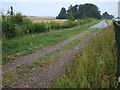 Track beside the A1198 Papworth Everard Bypass in CB23 3QX