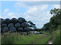 2012 : Stack of baled straw off Dark Lane  in BA11 5HJ